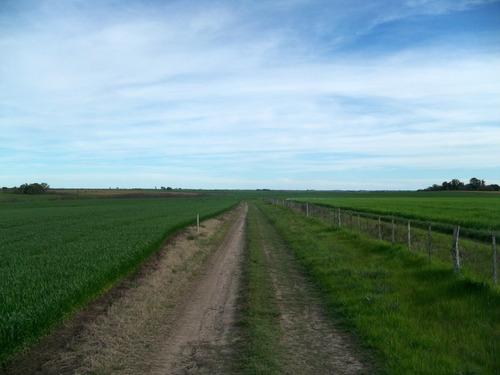 430 Has Agrícolas En Colonia, Próximas Al Puerto De Palmira