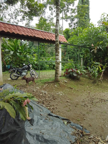 Sarapiqui Horquetas Vendo Propiedad Con Casa