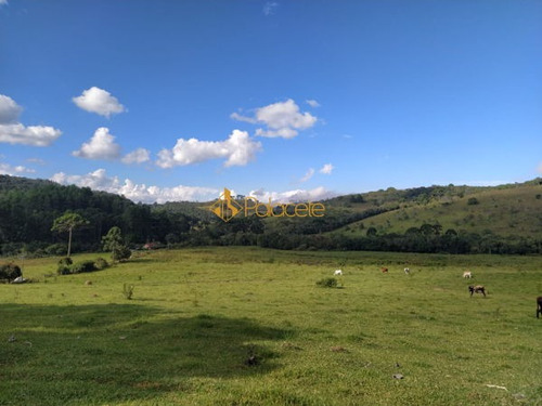 Imagem 3 de 15 de Rural Chacara - 886221-v