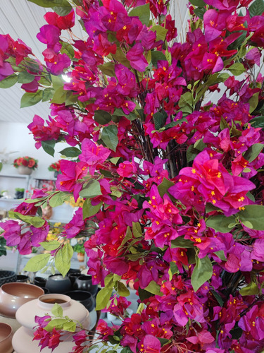 Árvore Flores De Bougainville Grande Volumosa 2x1mt Premium
