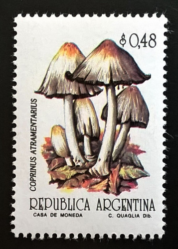 Argentina Hongos, Sello Gj 2594 0,48p Semimat 92 Mint L13677