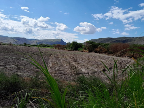Imagen 9 de 12 de Terreno En Venta Provincia Jaén