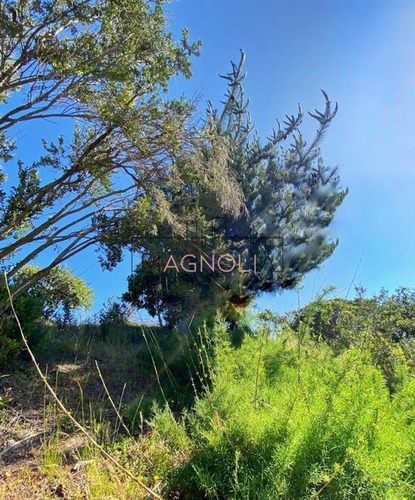 Imagen 8 de 20 de Sitio En Venta En Condominio, Puertecillo, Navidad