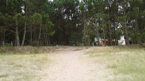 Campo En Colonia.