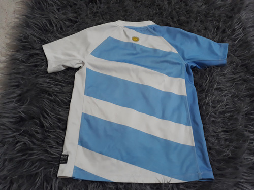 Camiseta De Los Pumas.año 2012.talle M Para Chico (Usado)
