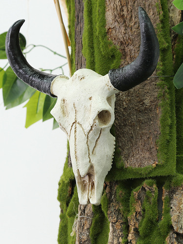 Adorno De Cabeza De Vaca Longhorn Para Colgar En La Pared Co