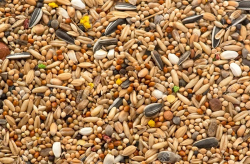 Imagen 5 de 7 de Alimento Premium Mix Hamster 10kg Criadero Nelsoni Ranch