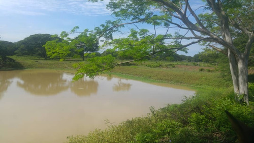 Imagen 18 de 27 de Se Vende Finca Hacienda En Estado Zulia, Ml