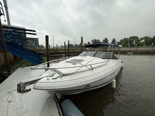 Custom 25 - Daycruiser 2020