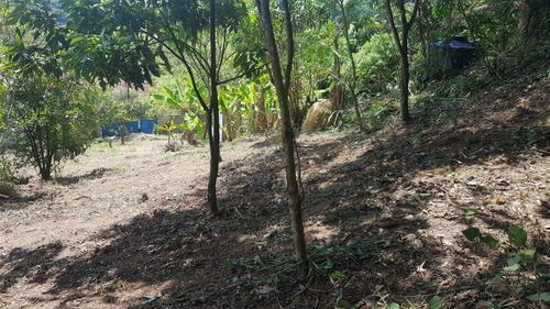 Chácara A Venda