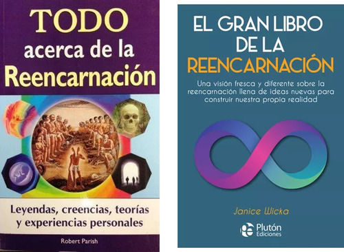 Todo Acerca De La Reencarnacion / El Gran Libro De La Reenca