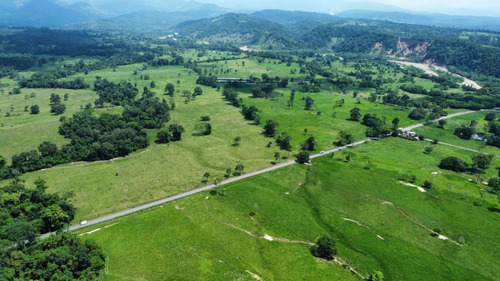 Imagen 4 de 16 de Finca Ganadera En Coloncito Excelente Tierras