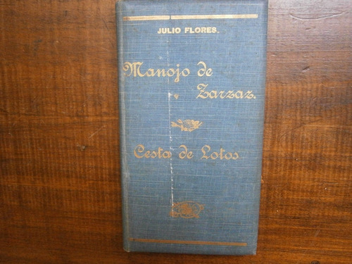 Julio Flores Manojo De Zarzas Cesta De Lotos El Salvador 06