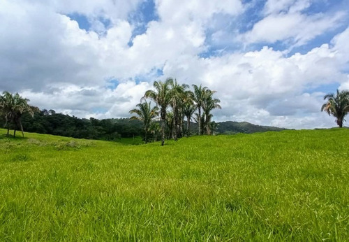 Imagen 30 de 30 de Vendo Finca En Tocuyito Vía Cachinche ( Dt )