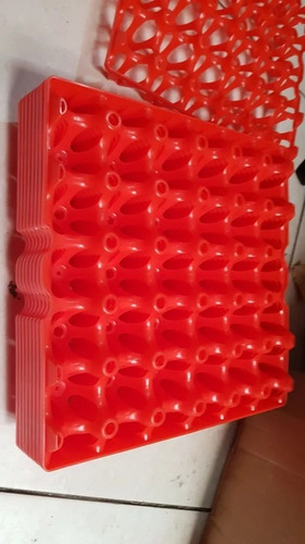 Imagen 3 de 5 de Bandeja Porta Huevos De Gallina Plastico Nuevo De Primer Uso