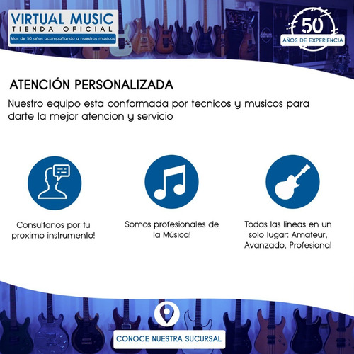 Guitarra Criolla Cg100 Sb + Funda
