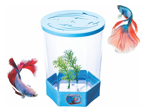 Beteira Para Peixe Betta Aquário 1,4l Cor Azul 110v