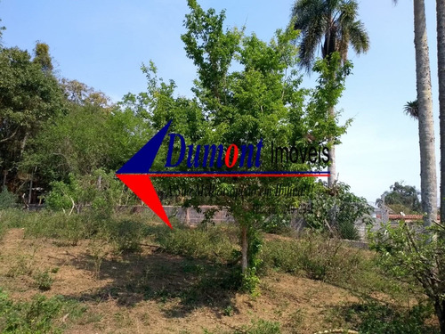 Imagem 6 de 14 de Terreno Limpos Com Árvores Frutíferas Cód 464