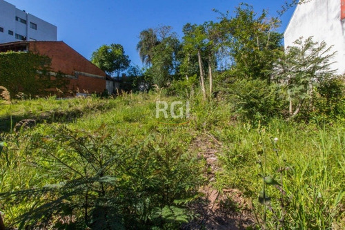 Terreno Em Chácara Das Pedras - El56355881
