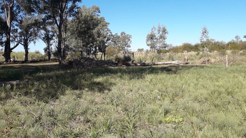 Imagen 12 de 13 de Excelente Lote 500 Mts Venta Mariano Acosta Merlo