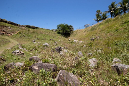 Imagem 3 de 13 de Terreno Residencial À Venda, Balneário Praia Do Pernambuco, Guarujá - Te0262. - Te0262