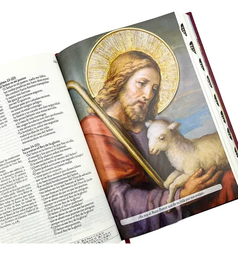 Sagrada Biblia De América - Estudio Con Uñero