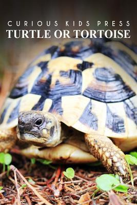 Libro Turtle Or Tortoise - Curious Kids Press - Curious K...