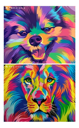 Pintar por números personalizado, Pinta a tu Mascota, Cuadro persona