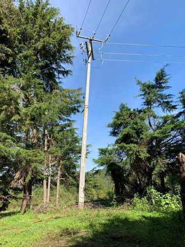 Imagen 9 de 9 de Terreno En Venta.