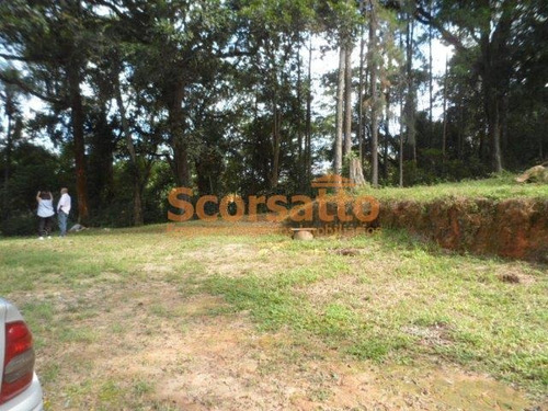 Imagem 15 de 19 de Chácara À Venda Itaquaciara, Itapecerica Da Serra/sp - 4152