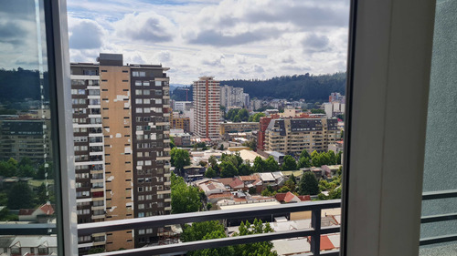 Arriendo Amoblado Nuevo Centro Concepcion (84964)