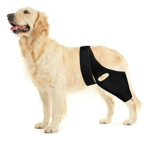 Brace Para Perro Con Problema De Rodilla Y Cadera