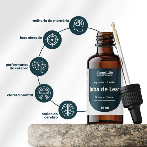 Kit Foco E Energia Extrato Juba De Leão + Cordyceps 60ml Sabor Sem Sabor