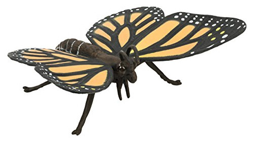 Reino Escondido Insectos Hermosa Mariposa Monarca Y Realista