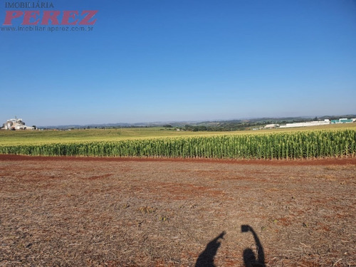 Imagem 15 de 24 de Chácaras_sítios_fazendas Para Venda - 13650.8047