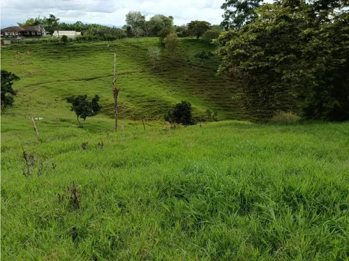 Venta Finca Filandia A Borde De Carretera - 20 Cuadras