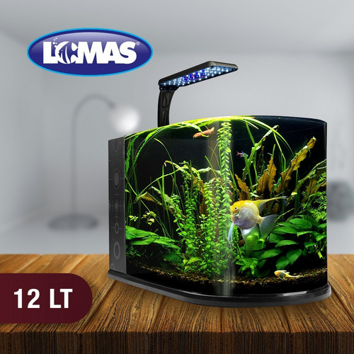 Imagen 3 de 4 de Acuario Equipado Pecera Con Lampara Led Y Filtro 12 Litros