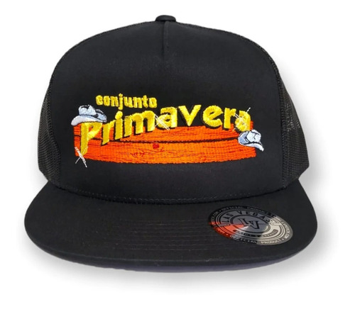 Imagen 2 de 3 de Gorra Conjunto Primavera Edición Especial