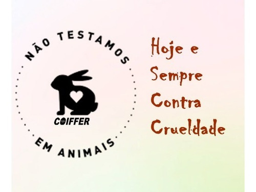 Shampoo Para Cabelos Camafeu De Nozes Coiffer 300ml