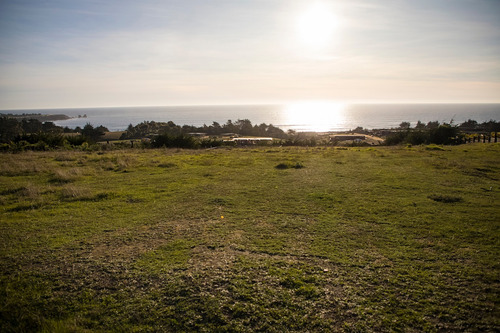 Vista Horizonte Punta De Lobos