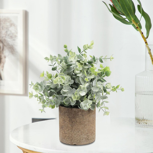Planta Suculenta Falsa Artificial En Maceta Mini Eucalipto
