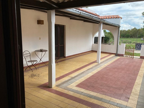 Campo Ganadero/agricola En Young