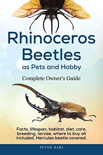 Rhinoceros Beetles As Pets And Hobby  Complete Owners Guide 