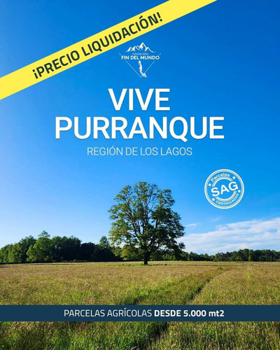 Parcelas A Minutos De Frutillar En Oferta (95567)