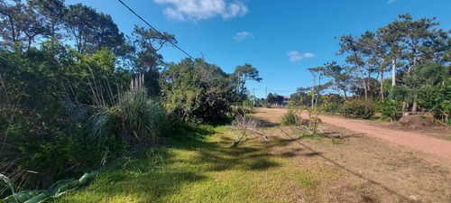Imagen 5 de 28 de Vendo 1 O 2 Lotes De 584 M2 En Punta Del Diablo