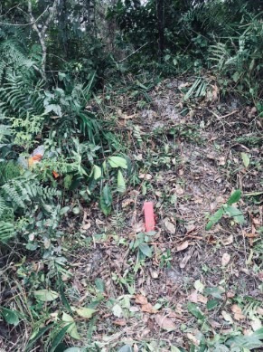 Terreno Perto Da Pista De 300 M² Em Itanhaém | Entrada 7 Mil