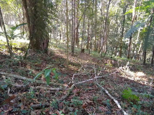 Imagem 14 de 14 de Lindo Terreno Com Otima Topografia Px Ão Centro