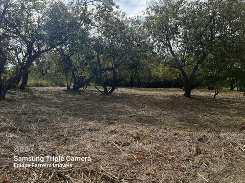 Imagem 6 de 13 de Você Não Pode Perder - Terrenos Com Pequena Entrada De 10mil