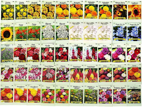 Set Of 500 Assorted Flower Seed Packets! Flower Seeds In Bul
