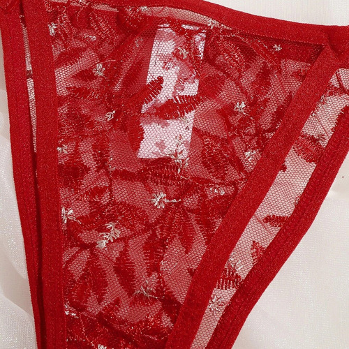 Sujetador Casual De Encaje Tipo Bralette Bordado Con Flores